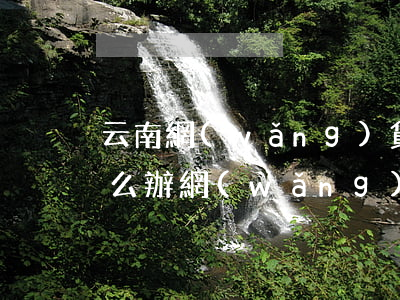 云南網(wǎng)貸負(fù)債逾期怎么辦(網(wǎng)貸貸款逾期怎么辦)