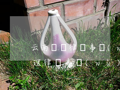 云南義聲律師事務(wù)所怎么樣(云南大理律師事務(wù)所)