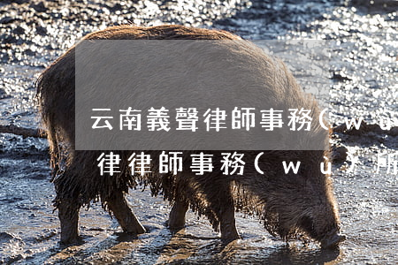 云南義聲律師事務(wù)所怎么樣(云南耀律律師事務(wù)所怎么樣)