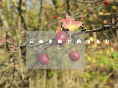 云南肖航欠信用卡名單