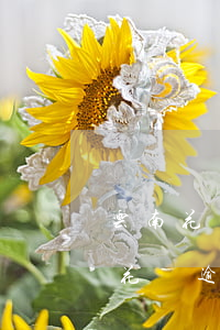云南花唄負(fù)債逾期協(xié)商(花唄逾期協(xié)商不成要多長(zhǎng)時(shí)間才會(huì)被起訴)