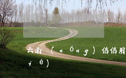云南農(nóng)信信用卡逾期凍結(jié)