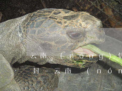 云南農(nóng)信逾期三次什么時候解封-云南農(nóng)信逾期三次什么時候解封的