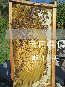 云南農信信用卡逾期1天(云南農信信用卡逾期1天)