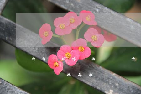 云南離婚律師收費標準最新(云南省律師費收費標準速算表)
