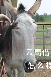 云易借逾期了怎么樣才能恢復(云易借逾期了怎么樣才能恢復)