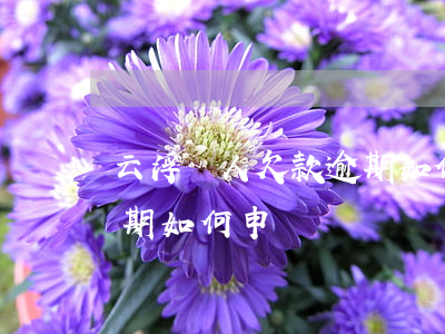 云浮個人欠款逾期如何申請(云浮個人欠款逾期如何申請)