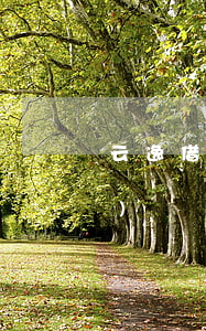 云逸借逾期一年(云逸借額度被凍結(jié))