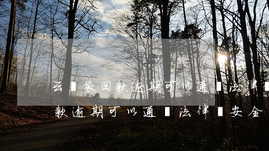 云錢袋回款逾期可以通過法律嗎-云錢袋回款逾期可以通過法律嗎安全嗎