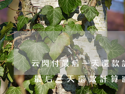 云閃付最后一天還款計算逾期利息-云閃付最后一天還款計算逾期利息嗎
