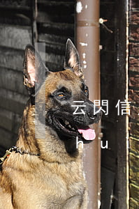 云閃信用卡逾期一年(云閃付貸逾期一天會(huì)怎么樣)