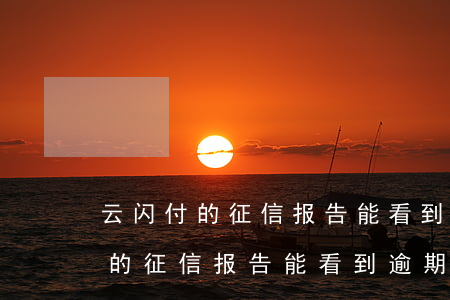 云闪付的征信报告能看到逾期的吗-云闪付的征信报告能看到逾期的吗安全吗