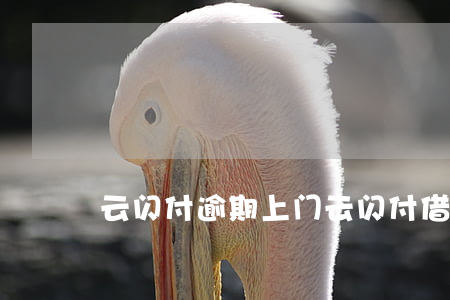 云闪付逾期上门(云闪付借钱逾期会怎么样)