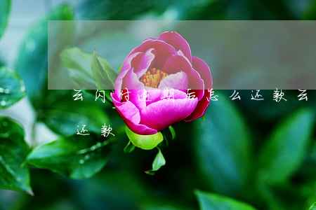 云闪付逾期后怎么还款(云闪付里的借款怎么还款)