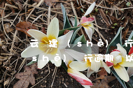 云陽建設(shè)銀行信用卡逾期(建設(shè)銀行逾期過,以后還可以辦理信用卡嗎)