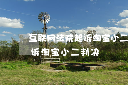 互联网法院起诉淘宝小二(12315可以投诉淘宝小二判决)