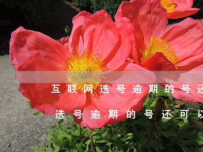 互联网选号逾期的号还可以重选嘛-互联网选号逾期的号还可以重选嘛怎么办