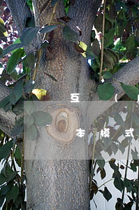 互聯(lián)網(wǎng)保險的基本模式有哪些