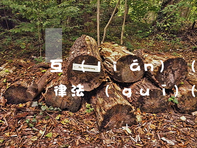互聯(lián)網(wǎng)有哪些法律法規(guī)(關(guān)于網(wǎng)絡(luò)相關(guān)的法律法規(guī)有哪些)