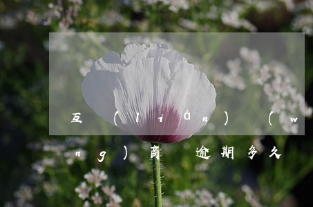 互聯(lián)網(wǎng)網(wǎng)商貸逾期多久會被起訴-有沒有網(wǎng)商貸逾期一年多,說要起訴的