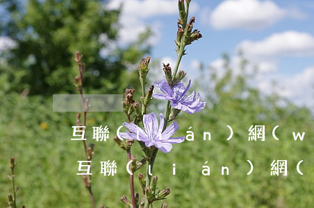 互聯(lián)網(wǎng)起訴欠錢(互聯(lián)網(wǎng)起訴欠錢會怎么樣)