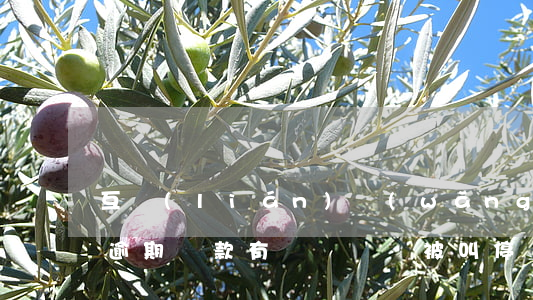 互聯(lián)網(wǎng)金融眾籌逾期還款(有錢還眾籌被叫停)
