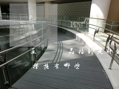 互聯網產品指的是什么（產品知識產權保護的措施有哪些）