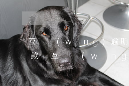 互貸網(wǎng)逾期的會(huì)還款嗎(互貸網(wǎng)逾期的會(huì)還款嗎)