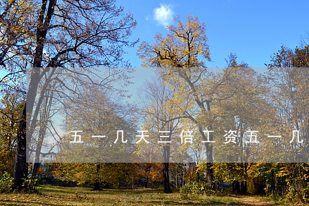 五一几天三倍工资 (五一几天三倍工资怎么算)