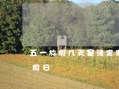 五一放假几天是法定假(五一放假几天是法定假日)