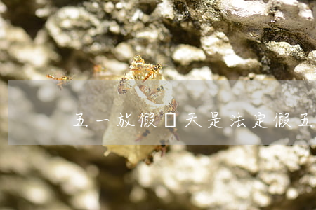 五一放假幾天是法定假(五一放幾天假?)