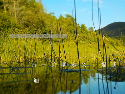 五一逾期多久會爆通訊錄（五一逾期多久會爆通訊錄）