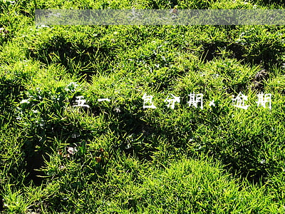 五一錢包分期x逾期訴訟我