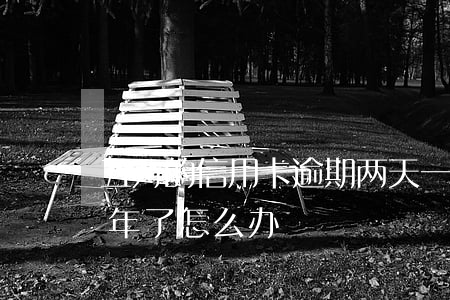 五万的信用卡逾期两天(一万五信用卡逾期两年了怎么办)