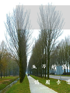 五万的信用卡逾期十天利息是多少-五万的信用卡逾期十天利息是多少钱