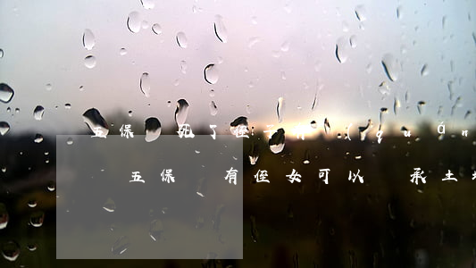五保戶死了侄子有權(quán)繼承土地嗎(五保戶有侄女可以繼承土地嗎?)