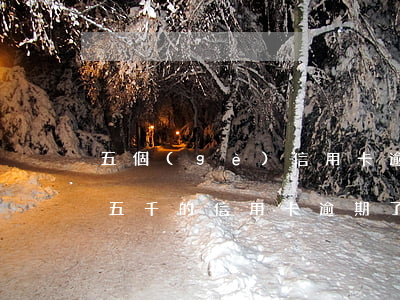 五個(gè)信用卡逾期十幾萬(wàn)(五千的信用卡逾期了、如今要還兩萬(wàn)多)