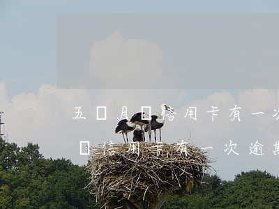 五個月內信用卡有一次逾期怎么辦-五個月內信用卡有一次逾期怎么辦呢