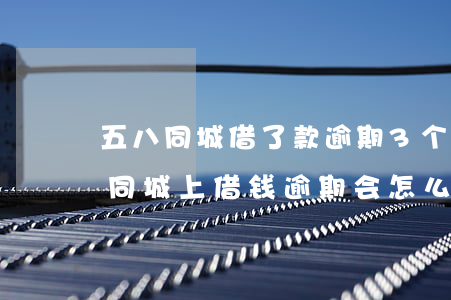 五八同城借了款逾期3个月怎么样-在五八同城上借钱逾期会怎么样