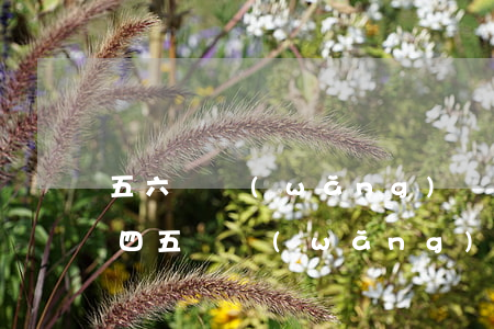 五六個網(wǎng)貸全部逾期了怎么辦(四五個網(wǎng)貸逾期會怎么樣)