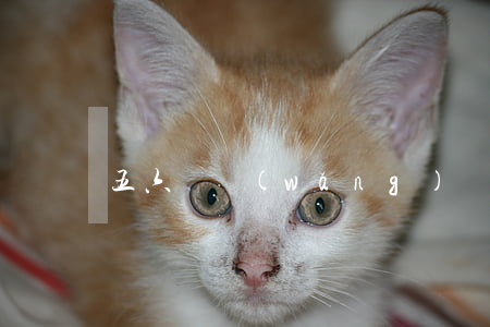 五六個網(wǎng)貸全部逾期了是累六嗎