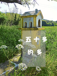 五十多歲了該不該離婚(為什么五十來歲離婚的多)