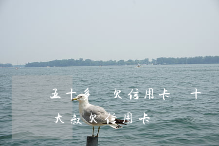 五十多歲欠信用卡幾十萬(wàn)（五十歲大叔欠信用卡）