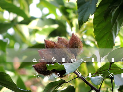 五十多歲的父親欠網(wǎng)貸和信用卡-五十多歲的父親欠網(wǎng)貸和信用卡有關(guān)系嗎