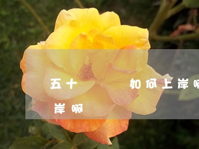 五十萬負債如何上岸啊-五十萬負債如何上岸啊