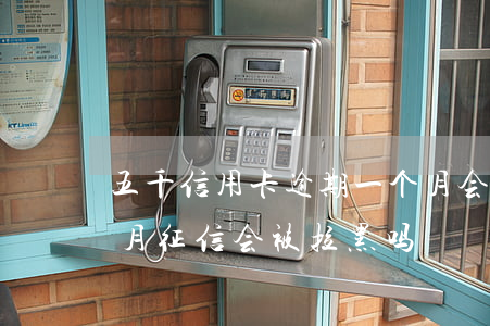 五千信用卡逾期一个月会拉征信吗(逾期一个月征信会被拉黑吗)
