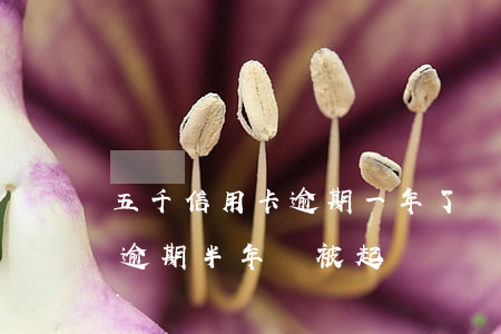 五千信用卡逾期一年了會怎樣(一萬五信用卡逾期半年會被起訴嗎)