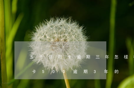 五千信用卡逾期三年怎樣補(bǔ)救(信用卡500逾期3年的)