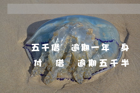 五千借唄逾期一年親身經(jīng)歷(支付寶借唄逾期五千半個(gè)月)
