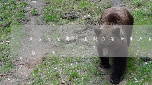 五千元信用卡逾期了有事嗎(五千的信用卡逾期一年)